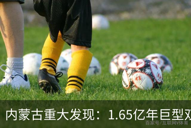 内蒙古重大发现：1.65亿年巨型双尾虫化石揭示古生态秘密
