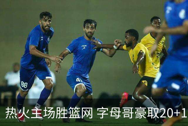 热火主场胜篮网 字母哥豪取20+15+9表现出色